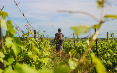 L’agriculture biodynamique