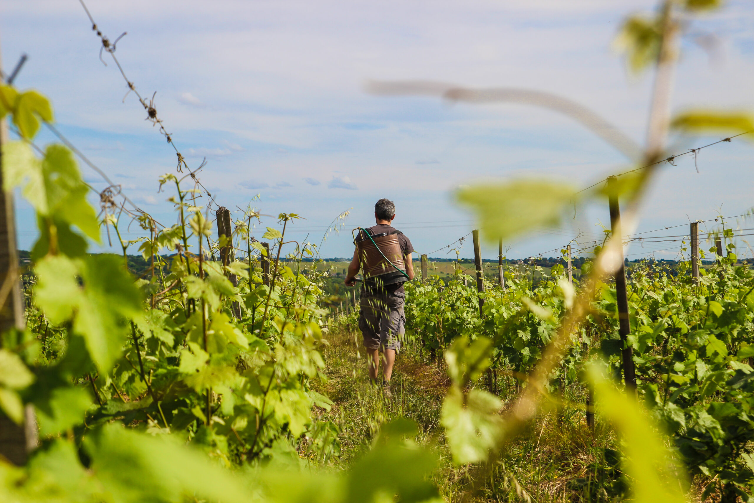 biodynamique